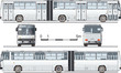 Vector detailed urban bus