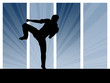 Martial Arts Fighter