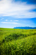 Photo: lush valley with mountain lush valley with mountain