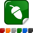 Acorn sticker icon. Vector illustration