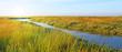 Idylische Wiese im Norden