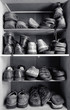 Shoes box