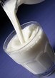 Milk