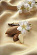 the four stages of the almond