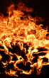 fire in stove