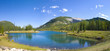 Forget Me Not Pond Forget Me Not Pond