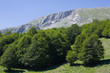 parco nazionale del pollino