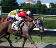 Foto: Sprinting Racehorses Sprinting Racehorses