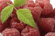 Himbeeren