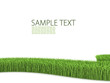 grassy road isolated