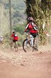 Vtt