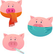 Swine flu