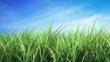 Grass in the wind (seamless loop)