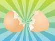 Egg illustration