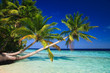 Tropical Paradise at Maldives