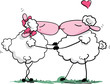 sheep kiss
