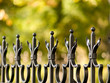 fence