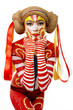beautiful girl with creative bodyart