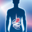 Magen, Darm, Magenmedizin, Untersuchung Magen, Darm, Magenmedizin, Untersuchung