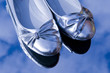 Pair of silver shoes