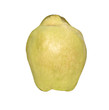 Quince (golden apple) isolated on white background