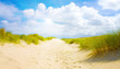 Idyliische Sommerlandschaft an der Nordsee