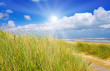 Ein idyllischer Tag im Sommer an der Nordsee