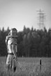 One Roman soldier in field.