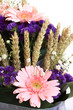 Gerberas roses