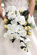 White orchids and yellow roses