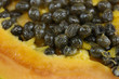 core of papaya