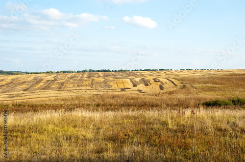 Photo: autumn landscape autumn landscape