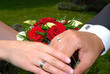 Hände mit Ringen Hände mit Ringen