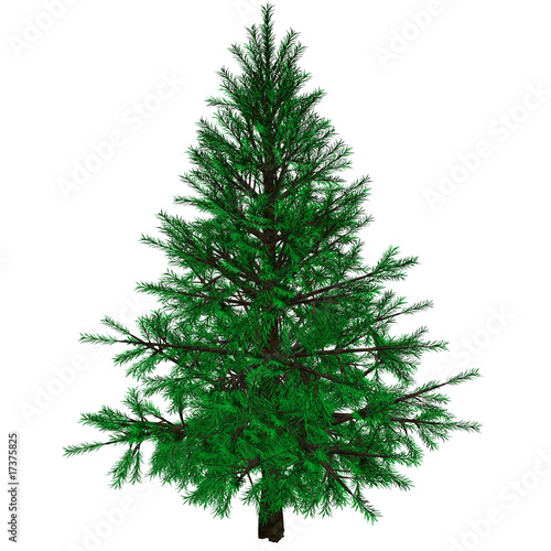 Illustration: Bare Christmas tree Bare Christmas tree