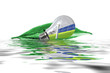 Vert flottant Vert flottant