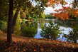 Indian summer-17