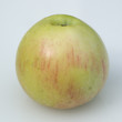 Hibernal-Apfel