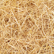 Fresh bed of clean straw