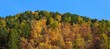 Taiga. Autumn.