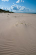 Sand waves on Baltic sea beach