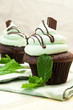 Creme De Mint Gourmet Cupcake