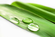 Wassertropfen 05