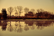 Morning by the Lake