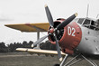 desaurated photo of old military plane