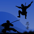 ninjas