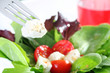 fresh salad