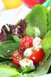 fresh salad