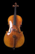 beautiful cello on black background