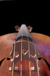 cello on a black background