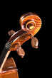 cello on a black background